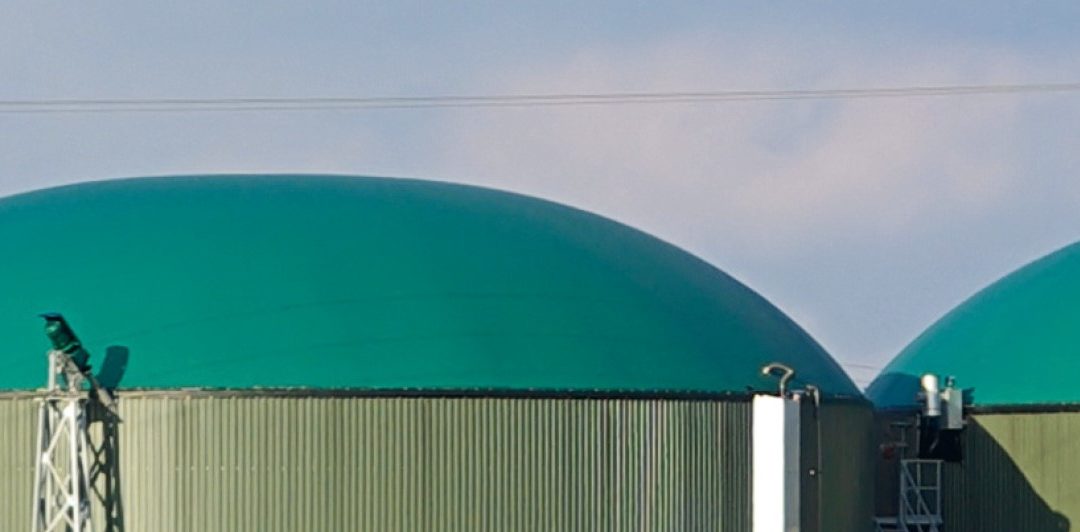 Triticale e biogas – binomio vincente