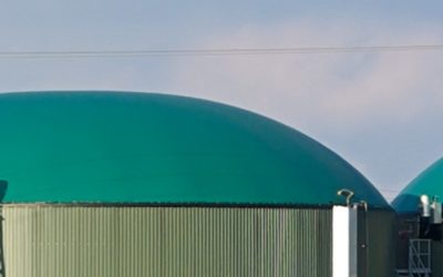 Triticale e biogas – binomio vincente